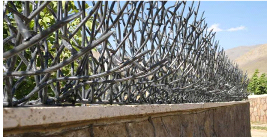 حفاظ شاخ گوزنی